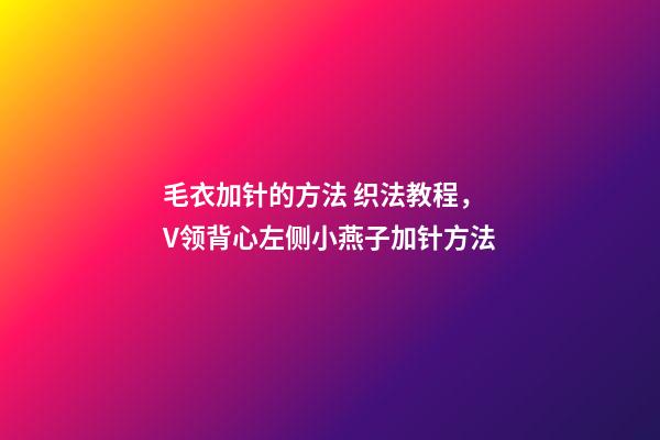 毛衣加针的方法 织法教程，V领背心左侧小燕子加针方法-第1张-观点-玄机派